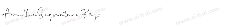 AmilliaSignature Reg字体转换